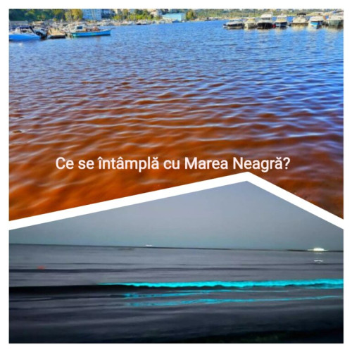 Spectacolul bioluminiscenței pe litoralul românesc
