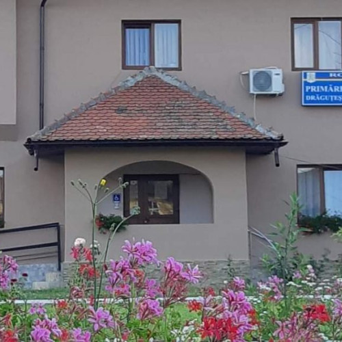 Cercetări penale în comuna Drăguțești pentru furt de bani din încasări