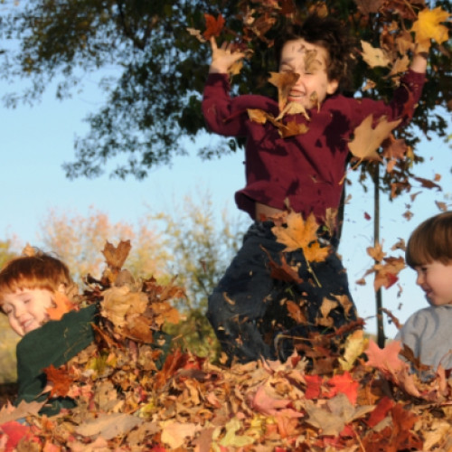 Vacanța de toamnă aduce oportunități de distracție în aer liber