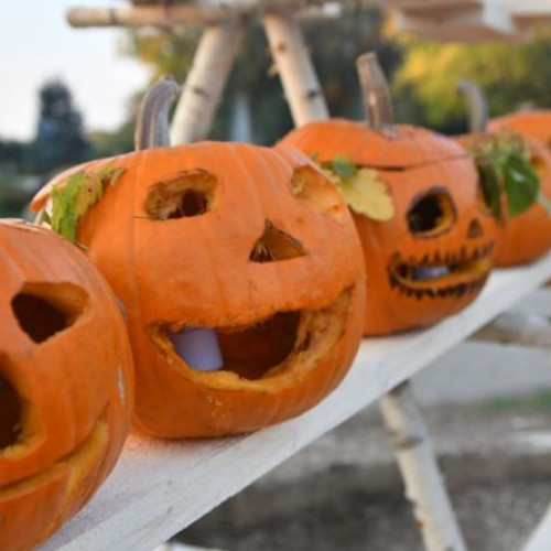 Parada dovlecilor și Târgul de toamnă, sâmbătă la Râșnov