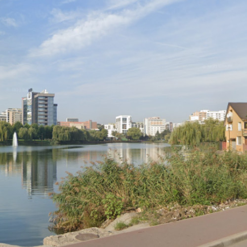 Problema gunoaielor pe un teren al Primăriei Cluj-Napoca