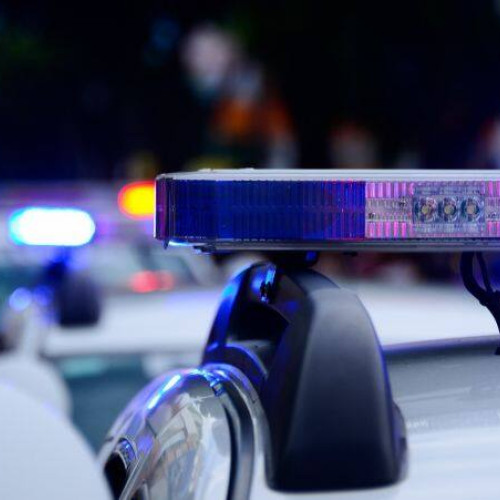 Acțiune majoră a poliției în județul Dâmbovița