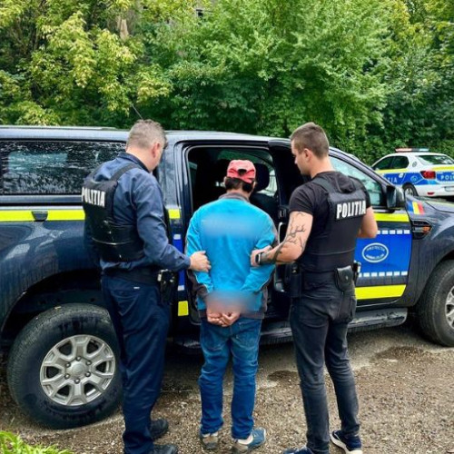 Monstru cu chip de om în Argeș: Un bărbat a ucis o cabalină