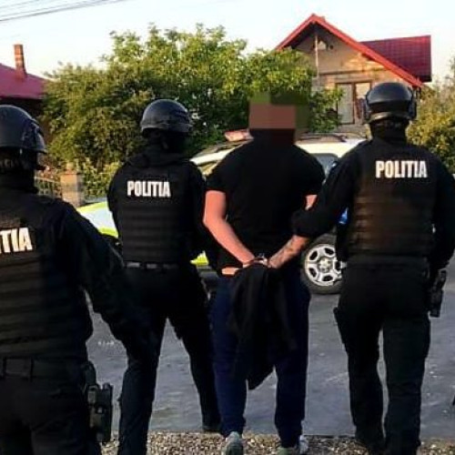 Cercetări finalizate în dosarul de ucidere a unei cabaline