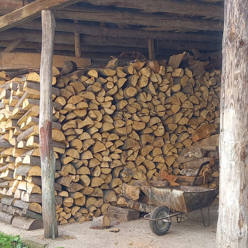 Romsilva oferă două milioane de metri cubi de lemn pentru foc până la sfârșitul anului