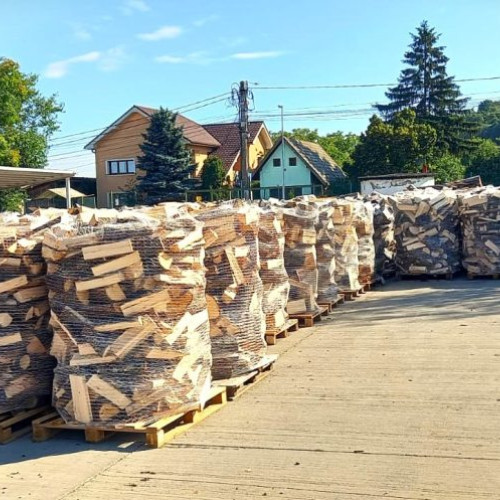 Romsilva oferă două milioane de metri cubi de lemn pentru foc până la sfârșitul anului