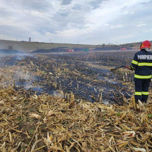 Incendiu devastator la Ștefan cel Mare: un bărbat de 93 de ani, găsit fără viață