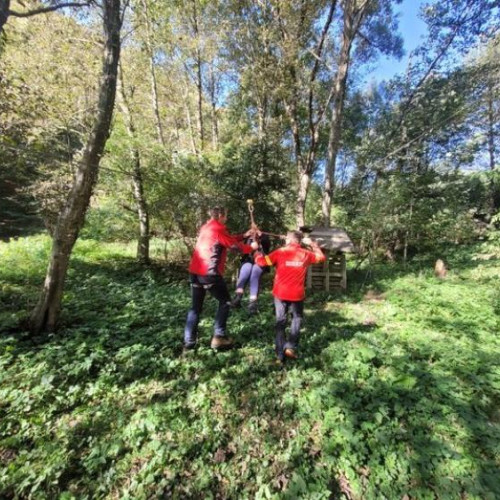 Tabără pentru copii cu dizabilități la Moara de Pădure, în Băișoara