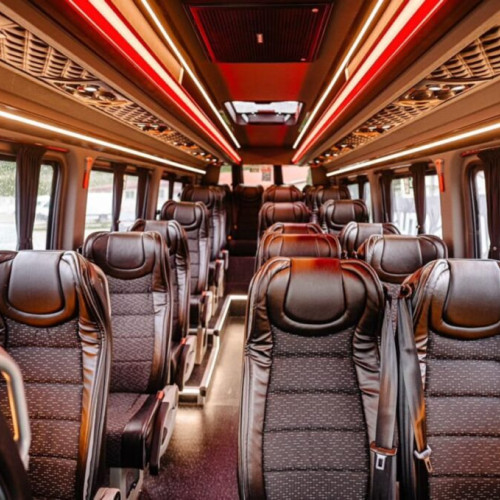 Transformarea microbuzelor, o oportunitate pentru afaceri