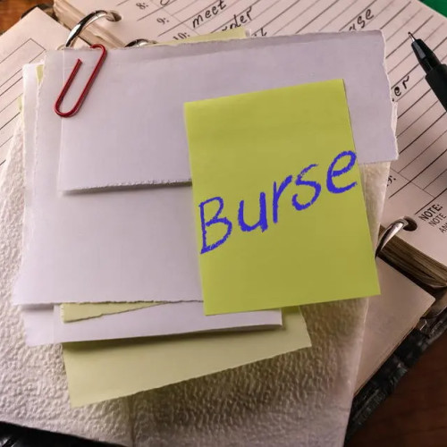 Creșterea valorii burselor pentru studenți, anunțată de ministrul Educației