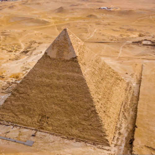 Câinele Apollo, vedeta virală a Piramidelor din Giza