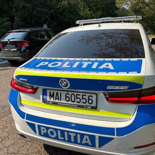 Botoșănean amendat pentru transport ilegal de lemne