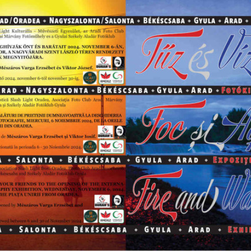 Patru asociații colaborează pentru expoziția &quot;Foc și Apă&quot; la Oradea