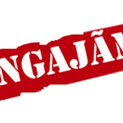 Școala Gimnazială Nr. 1 Mileanca organizează concurs pentru angajarea unui îngrijitor