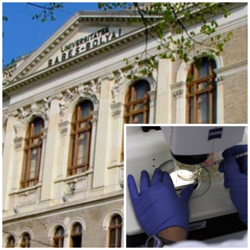 O descoperire remarcabilă în Muntii Bistritei: o plantă ce ar putea fi cea mai veche de pe Pământ