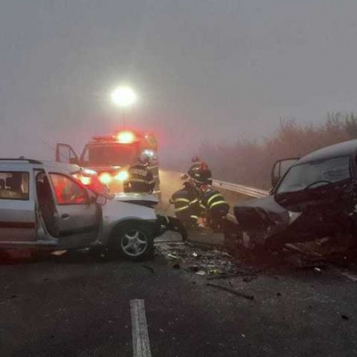 Accident tragic în Timiș: un tânăr de 25 de ani a murit după ce a evitat un câine