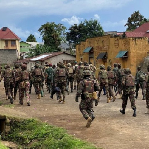 Trei jandarmi, cercetați pentru concediu medical fraudulos și activități de mercenariat în Congo