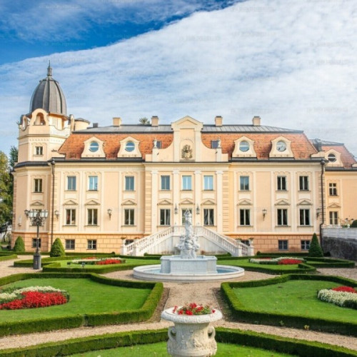 Ungaria va scoate la licitație 40 de castele în ianuarie