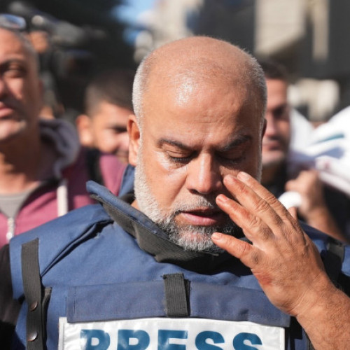 Abonamentele la Newsletter oferă cele mai bune informații de pe digi24.ro