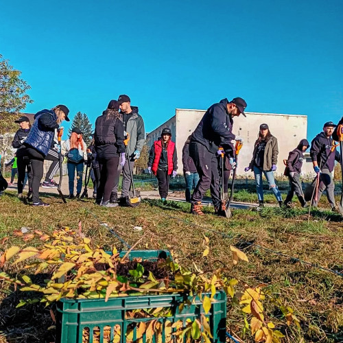 Peste 1.700 de arbori și plante perene au fost plantați în Făgăraș