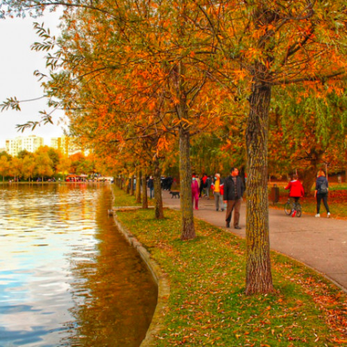 Vreme deosebit de caldă în București pentru începutul lunii noiembrie