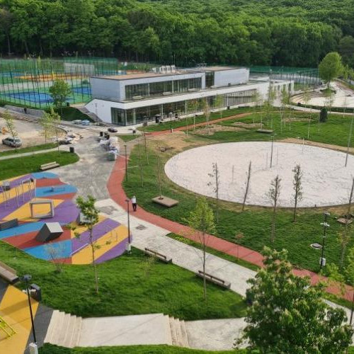 Problema câinilor plimbați în locurile de joacă și pe pistele de alergat din Cluj-Napoca