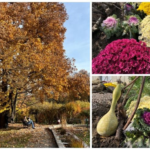 Grădina Botanică din Cluj-Napoca își deschide porțile în sezonul de toamnă