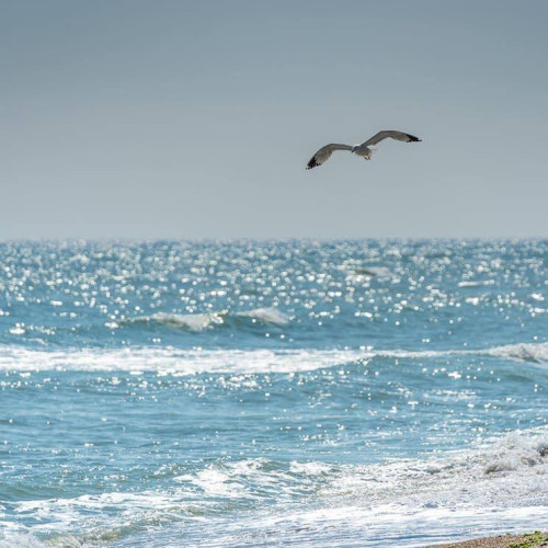 Ziua internațională a Mării Negre, sărbătorită pe 31 octombrie