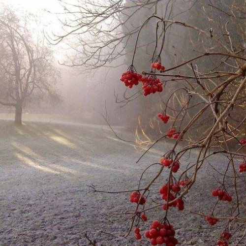 Avertizări meteo: Vreme rece anunțată pentru duminică în toată țara