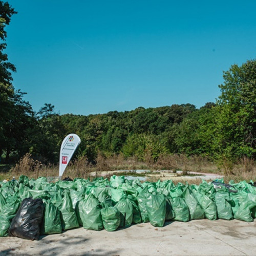 Ziua Națională a Curățeniei va fi sărbătorită în România