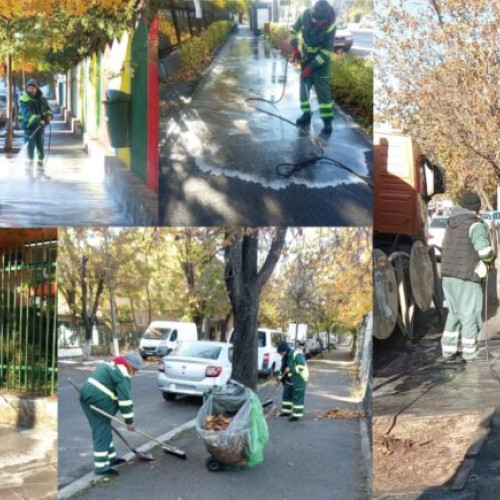 Primăria Sectorului 1 începe o campanie de curățenie în școli și grădinițe