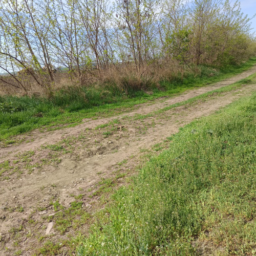 Vânzarea pământului, cauză principală a sărăciei în comuna Dimacheni, județul Botoșani