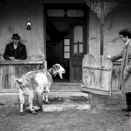 Morometii 3 ajunge pe 9 noiembrie la Botoșani