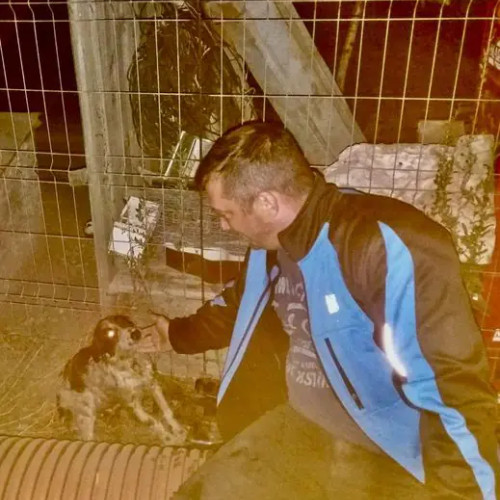 Pompierii din Costești salvează un cățeluș căzut într-o fosă septic