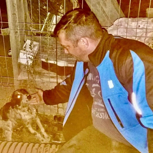 Daniel, eroul zilei în Argeș. Povestea emoționantă a cățelului salvat și adoptat