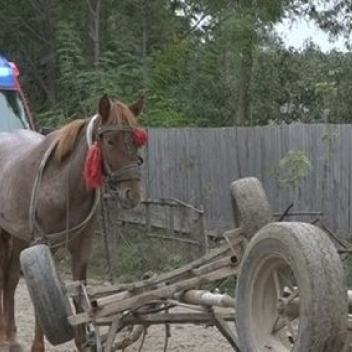 Accident de căruță în județul Botoșani