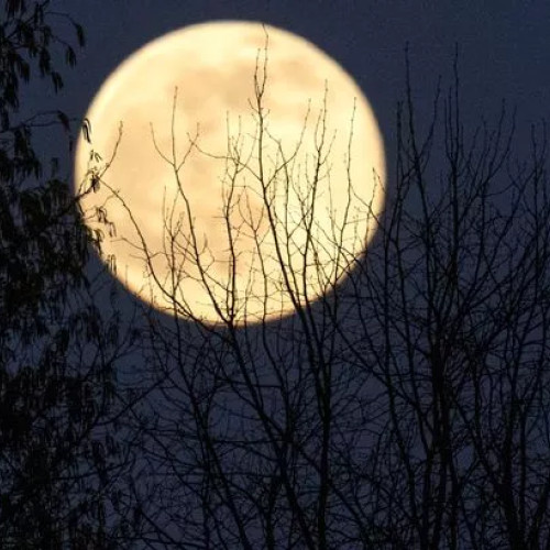 Ultima Lună Plină din 2024 va aduce schimbări importante în carierele zodiilor