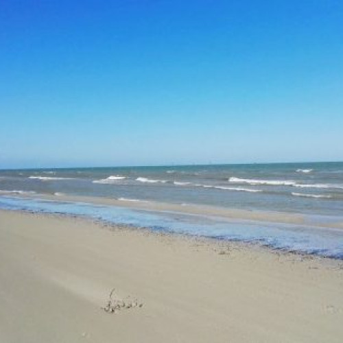 Ziua Internațională a Marii Negre, sărbătorită pe 31 octombrie