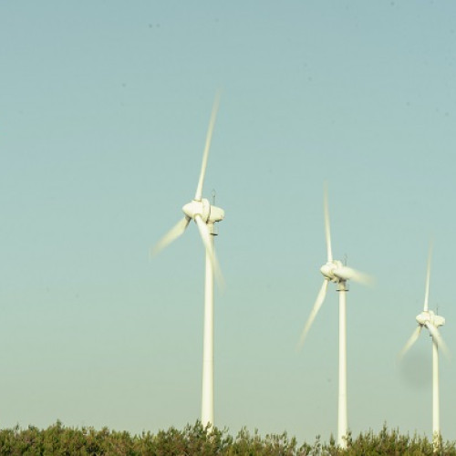 Consiliul Concurenței aprobă preluarea de către Public Power Corporation a mai multor companii românești