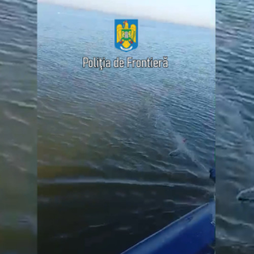 Acțiune împotriva braconajului piscicol în Marea Neagră
