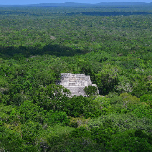 Descoperire uimitoare: orașul mayas Valeriana, ascuns sub jungla din Mexic