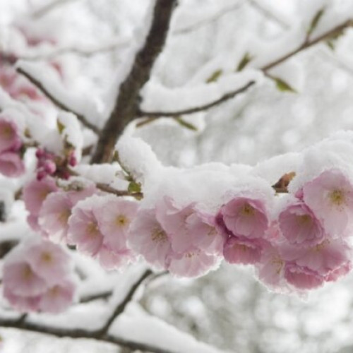 România se pregătește pentru o iarnă mai lungă și răcoroasă