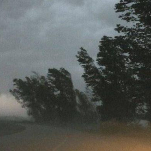 Cod Galben de vânt în județul Botoșani