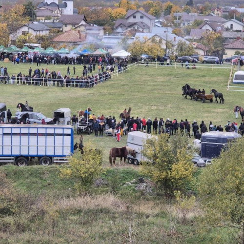 Show ecvestru de neuitat la Viisoara
