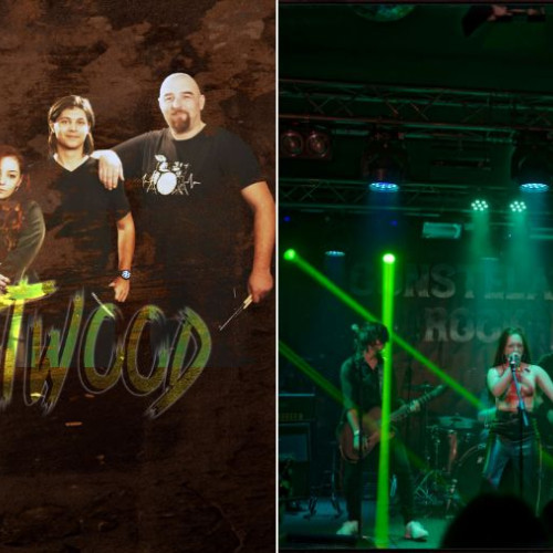 Driftwood lansează albumul de debut "Born to Lie"