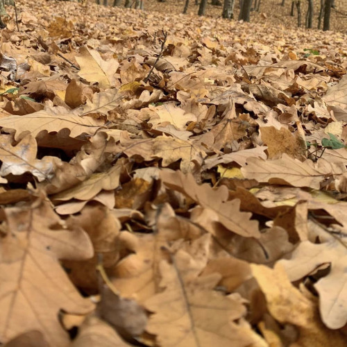 Prognoza meteo în Moldova pentru perioada 4-17 noiembrie