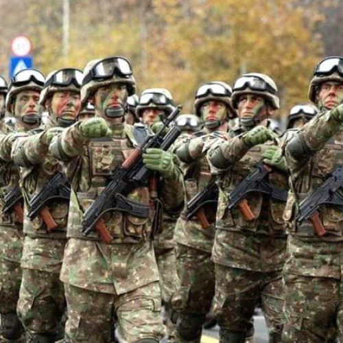 Guvernul României planifică creșterea bugetului pentru Apărare la 3% din PIB