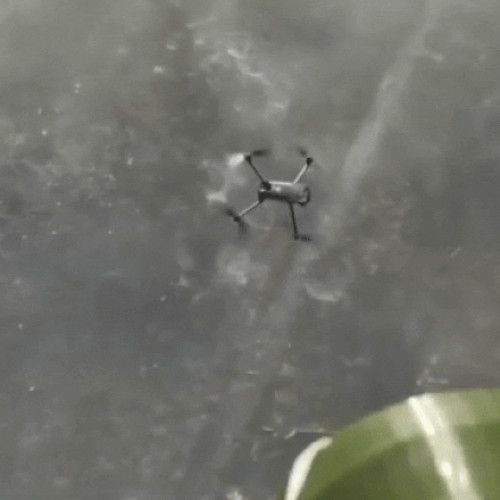 Soldații ucraineni își adaptează strategiile la provocările moderne ale războiului