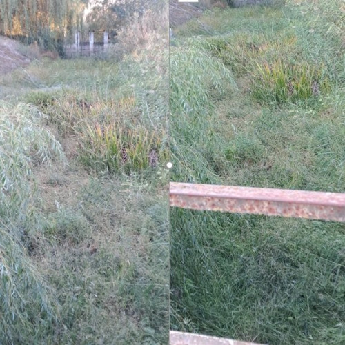 Canalul Morilor din județul Arad, un monument istoric de neglijat