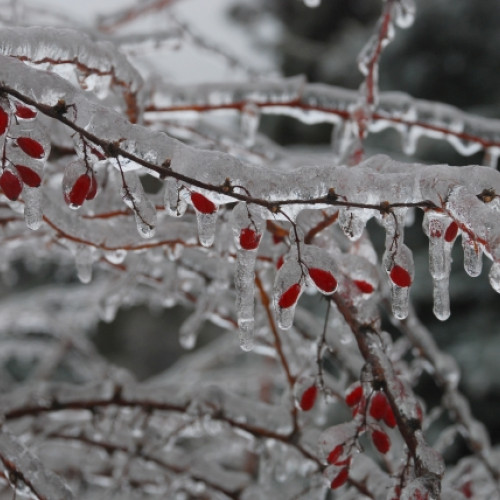 Miercurea-Ciuc înregistrează cea mai scăzută temperatură din țară: minus 10,2 grade Celsius